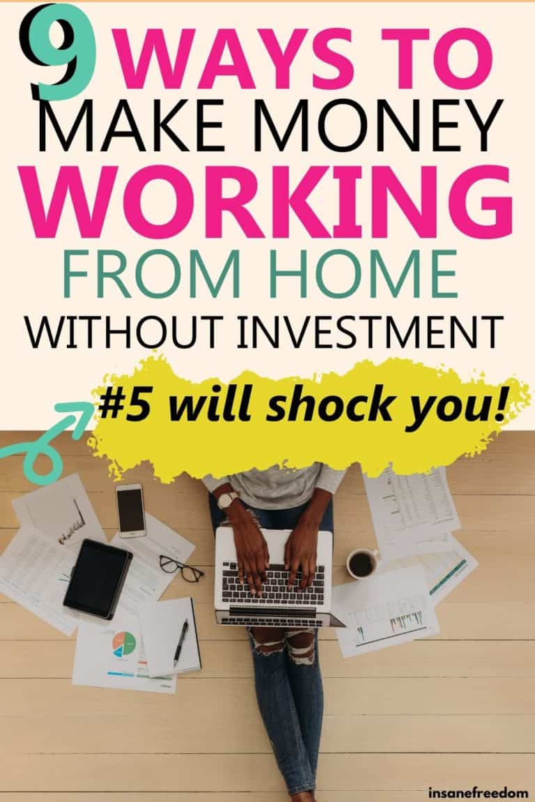 11+ Ways To Work From Home Without Investment - Insane Freedom