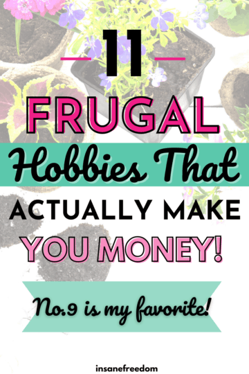 11 Frugal Hobbies That Make You Money & Pay Well - Insane Freedom