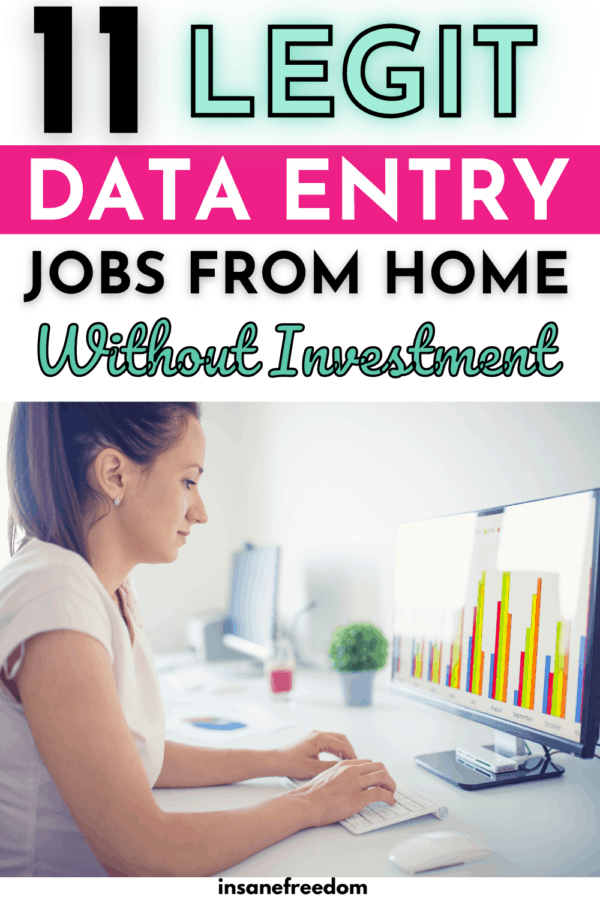 11 Best Data Entry Jobs From Home Without Investment Insane Freedom