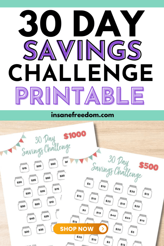 30 Day Savings Challenge Printable Worksheet - Insane Freedom